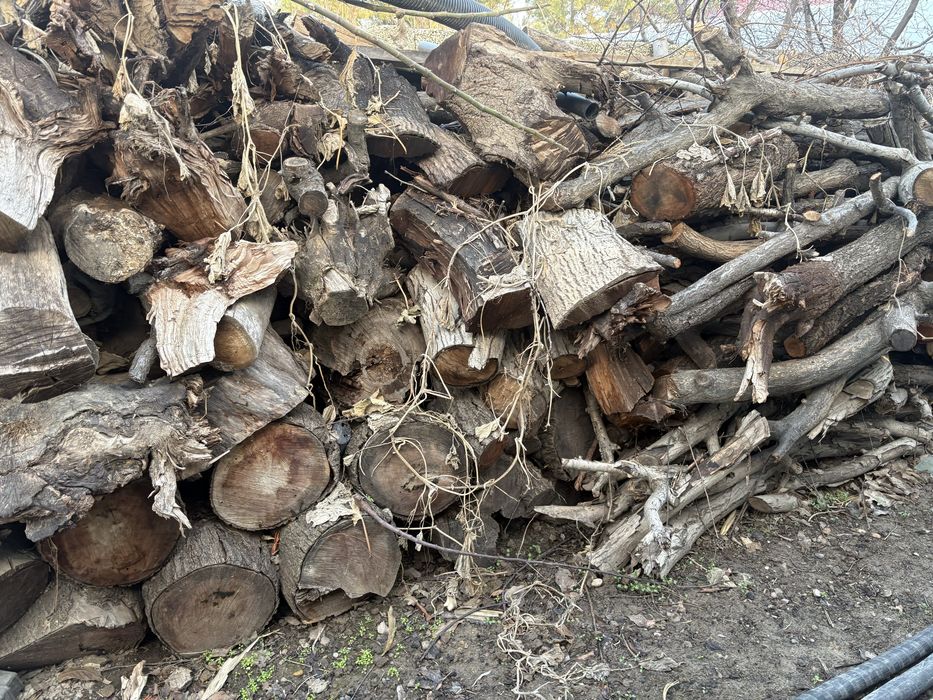 Oʻtin sotiladi xar xil daraxtlarniki