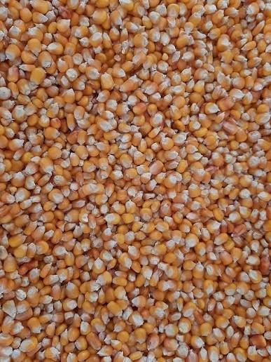 Vand 1.5t graunte moldovenesti