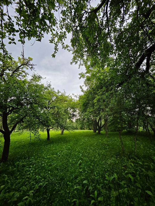 Casa de vânzare în Breb Maramureș