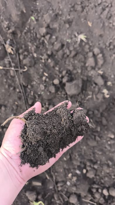 Чернорецк, перегной