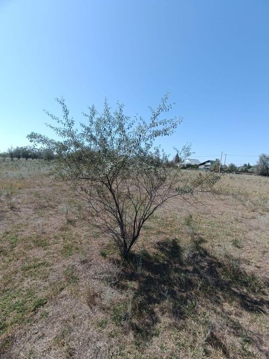 Продам участок в пригороде