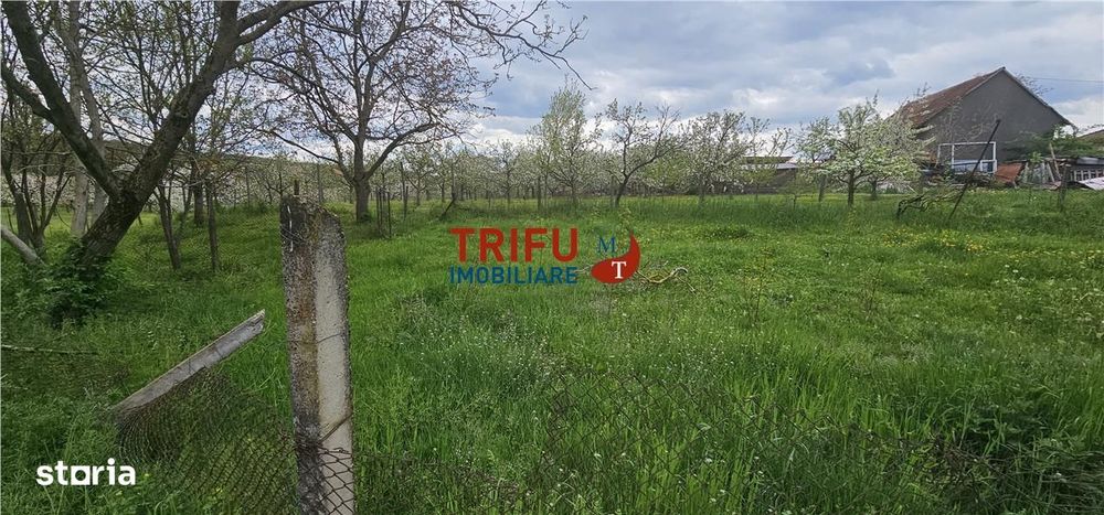 Casă veche + teren 3100 mp | Galda de Jos | Acces râu