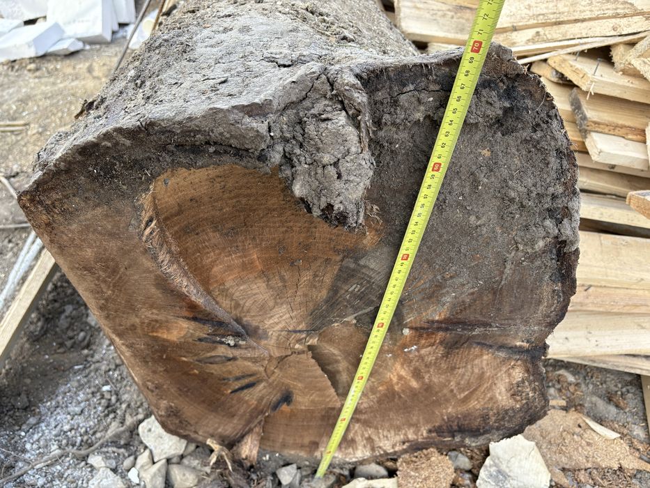 Lemen de nuc la 3m lungime 70 diametru+ ce se vede in poze dau totu