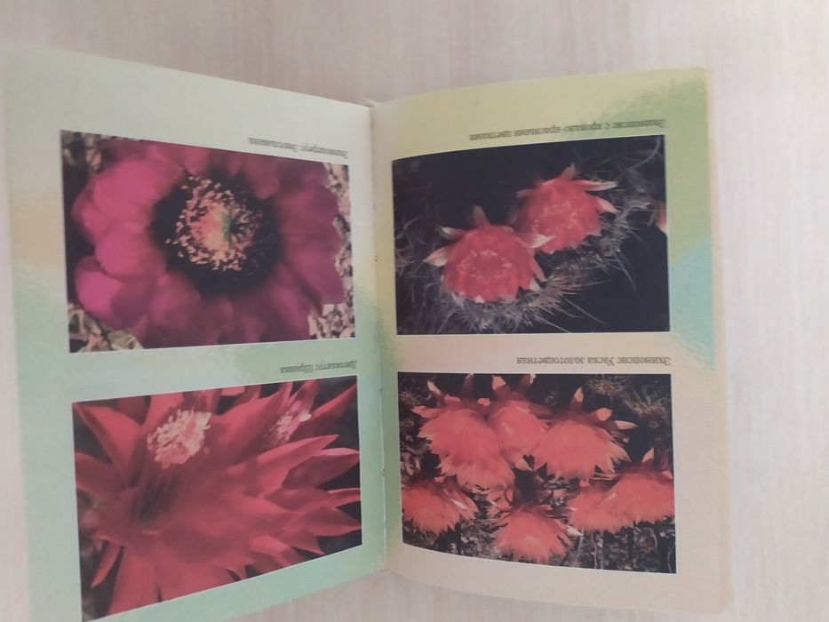 Мини-энциклопедия