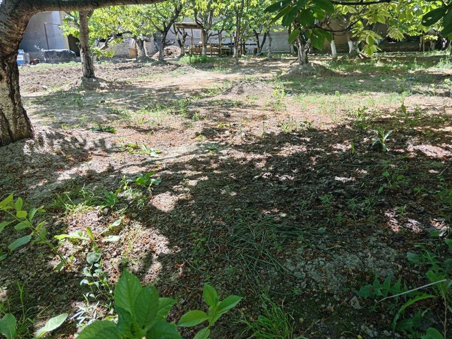 Yer sotiladi parkentda kadastr bor