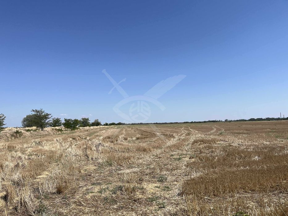 Парцел в с. Царацово 90314