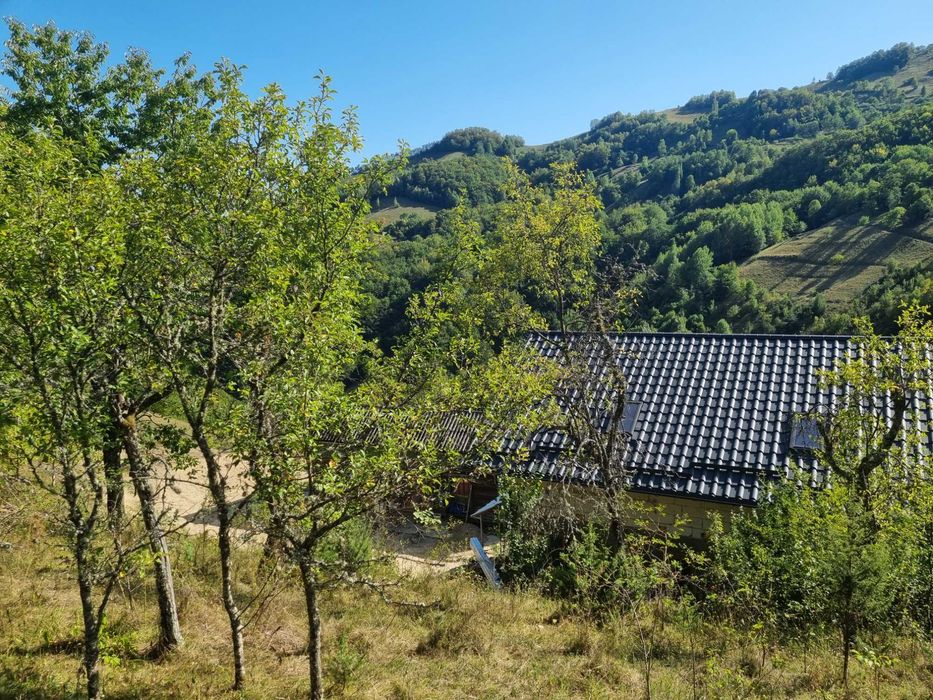 Casa de vânzare în muntii Apuseni