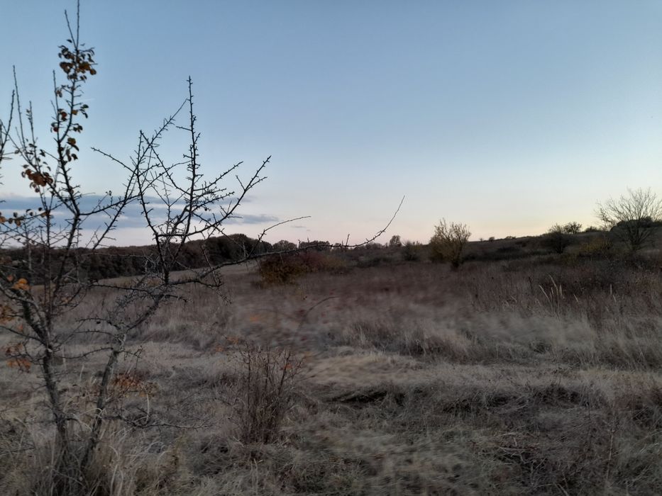 Косене почистване градини и дворове