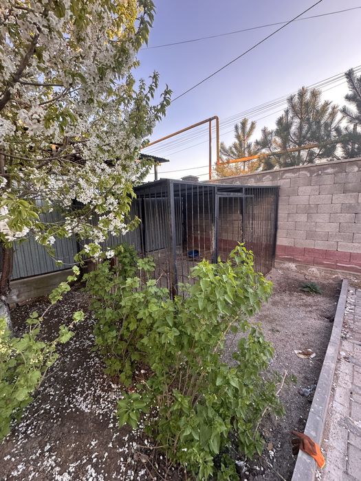 Вальер для домашних животных