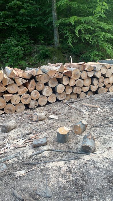 ‼️Vindem lemne de foc la cel mai bun preț din județ