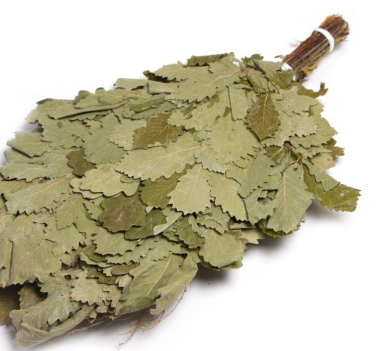 Продам веники береза1500, дуб 2000 тг  для бани