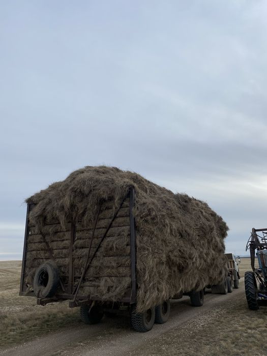 Прицеп Птс-13 (кассета)