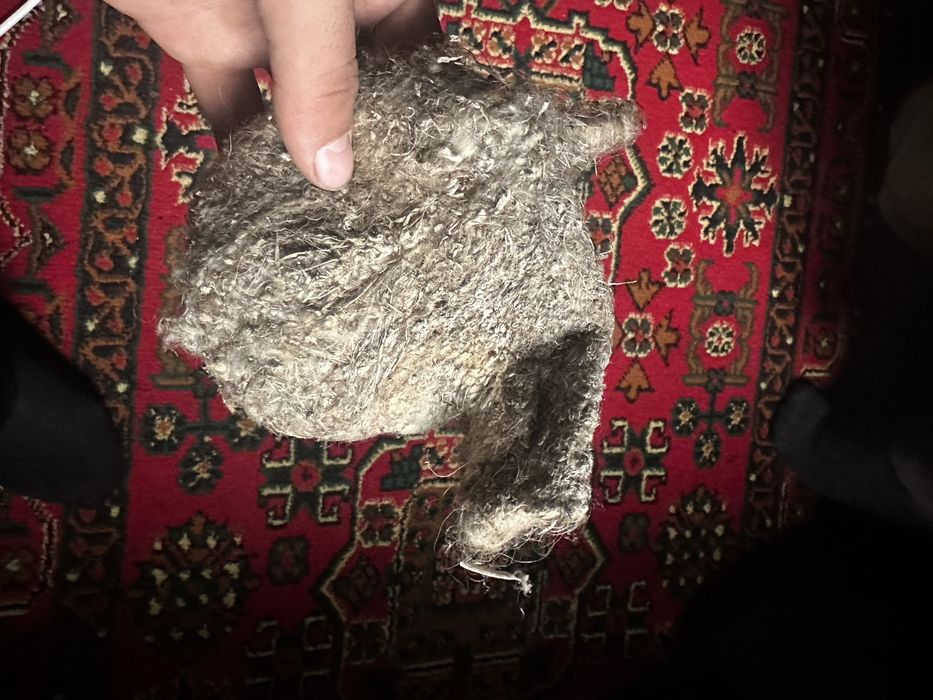 Құрқылтайдың ұясы . Гнездо ремеза