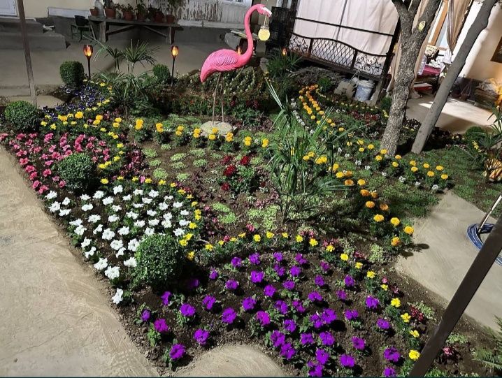 Богбон хизмати садовник