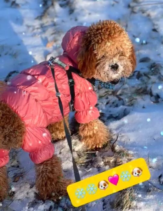 Продам одежду всё за 7000