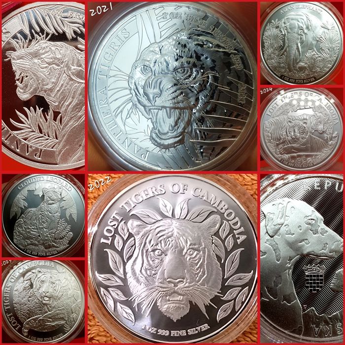 Laos Croatia Cambogia monede lingou argint 999