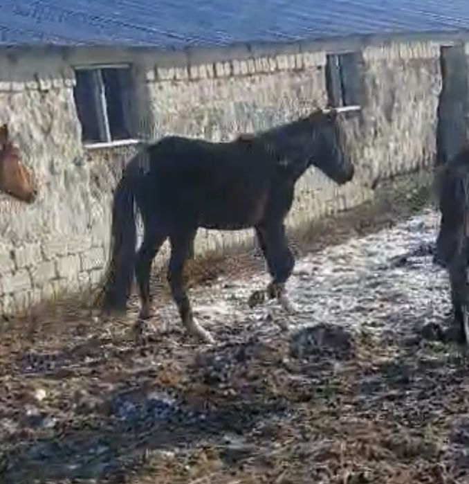 Продам за 450 тыс т