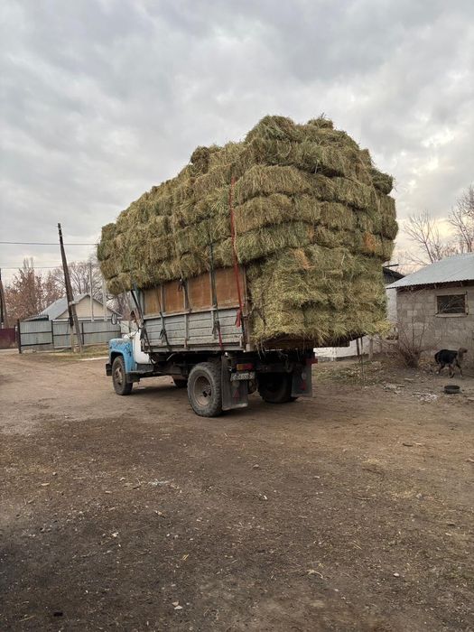 Шоп сатылады (сено садовая)