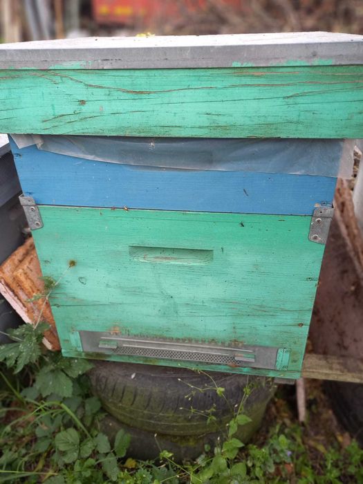 Vand lazi de albine 12 rame+magazii 1/2