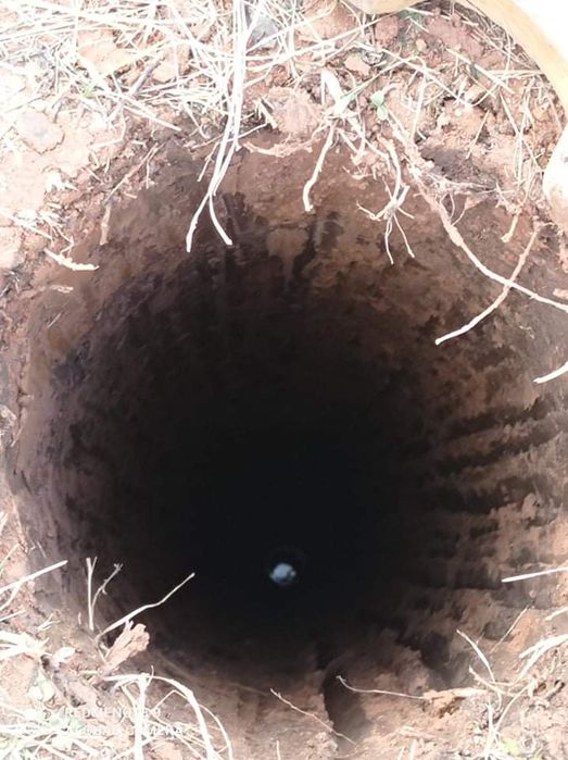 Foraje puturii și pilonii