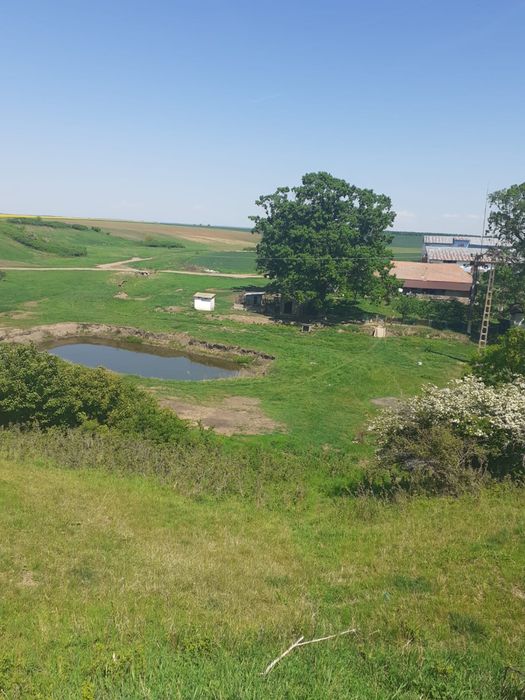 Anunt vanzare ferma Arges