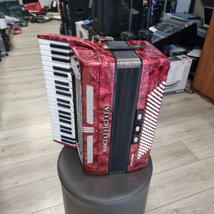 Amanet F28: Acordeon Delicia XIV 120 BASI (N)