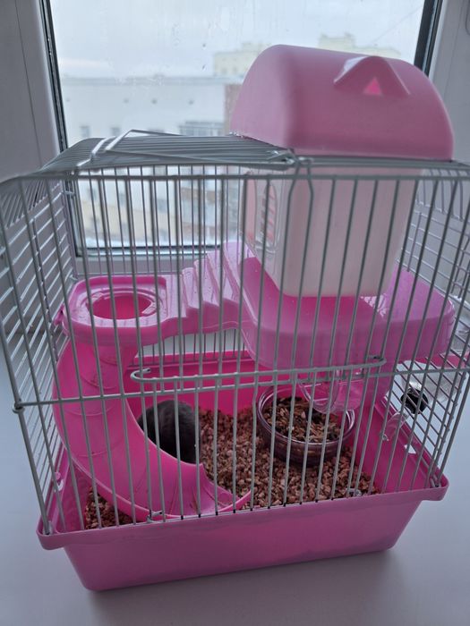 Хомяк с клеткой и кормом