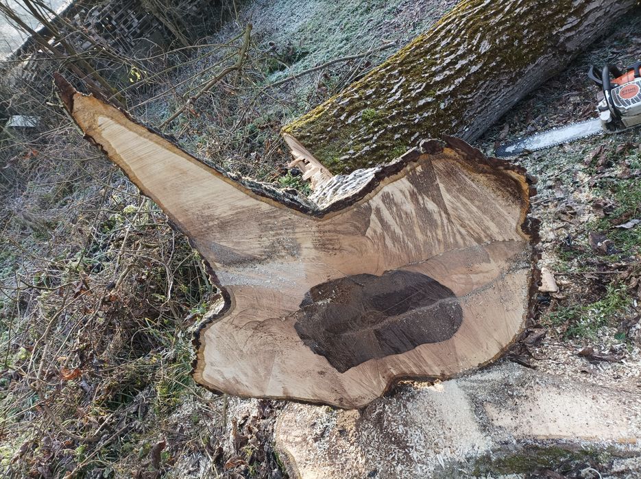 Lemn nuc pentru prelucrare masuta cafea si foastan taiat de nuc 5cm+-