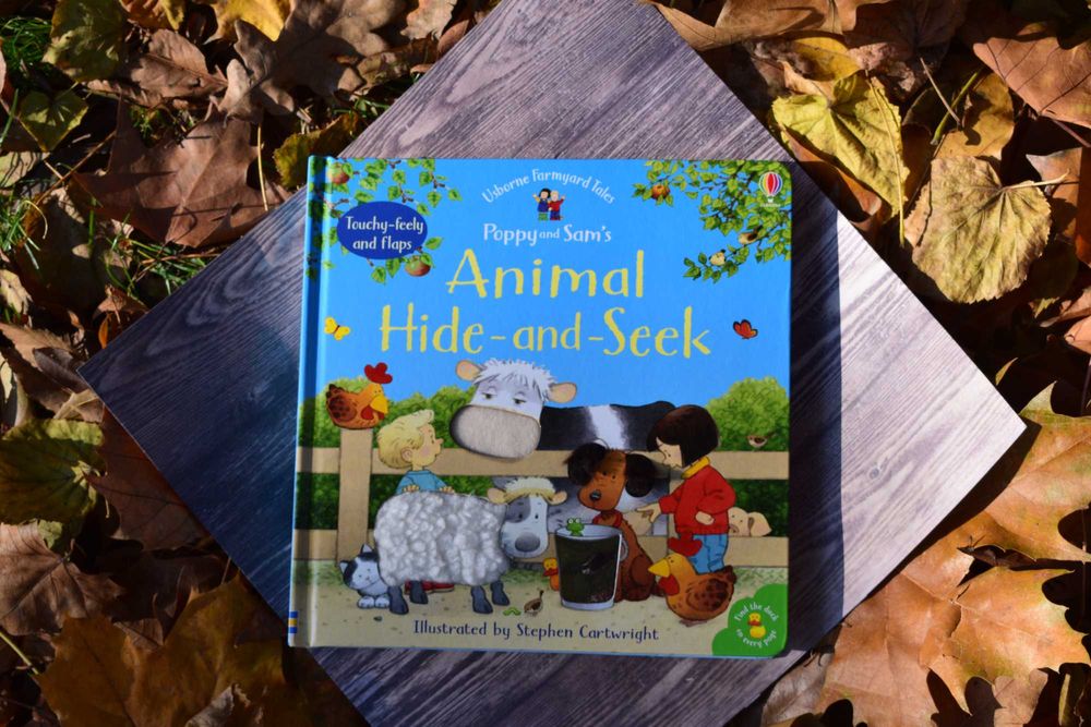 Carte Usborne Hide and Seek