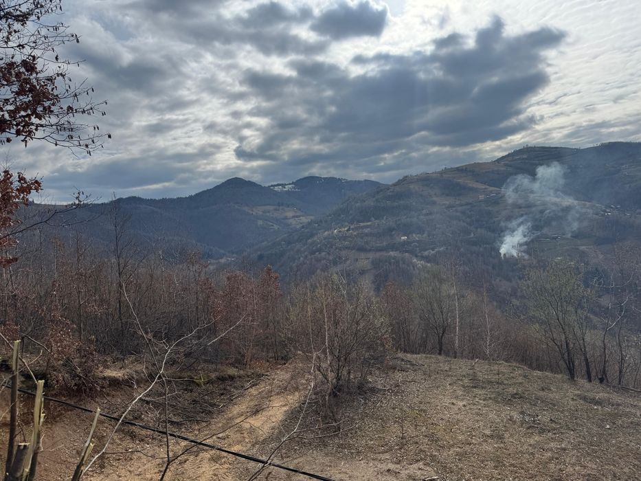 Teren Muntele Rece, ideal pentru cabana, zonă frumoasă, acces ușor