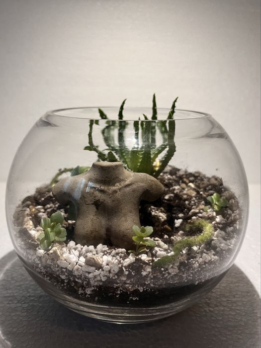 Terrarium - medio - 15x11.5 cm