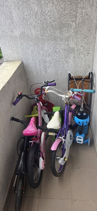 80 lei orice bicicleta sau 50 trotineta