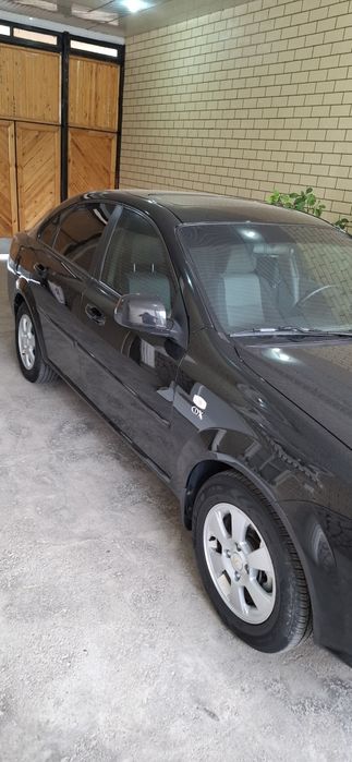 Gentra kraskasi 100 % tozza