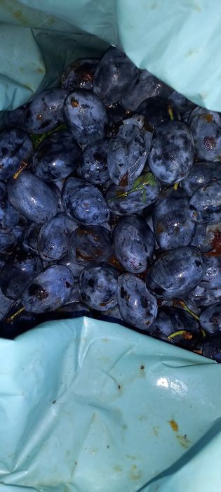 Vindem prune pentru țuică sau consum în cantități mari