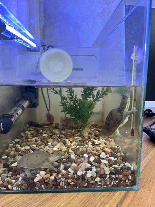 Продам аквариум
