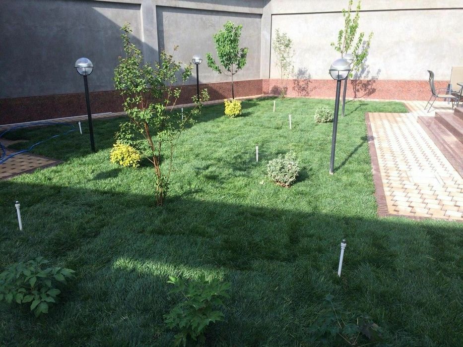 Газон. Готовый и семенами. Цена от 35.000