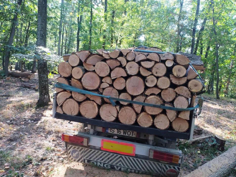 Lemne de foc fag carpăn frasan stejar