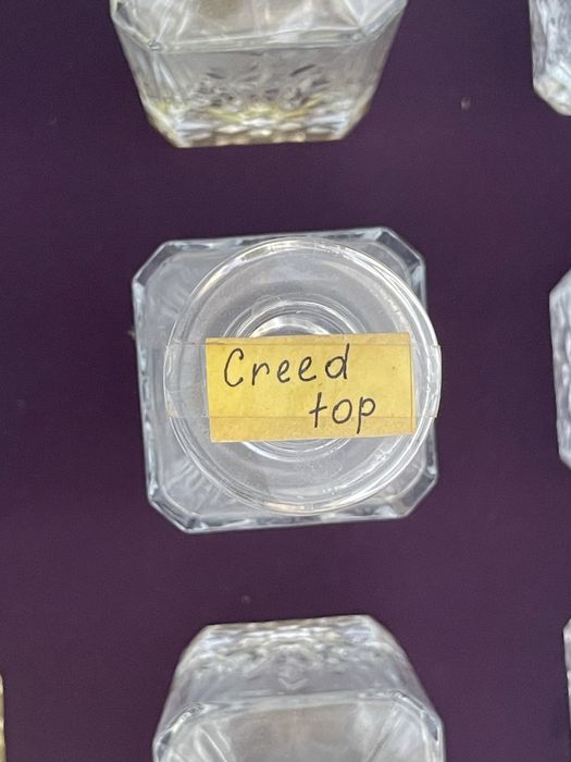 Mushkambar parfume  fransiya shvetsariya