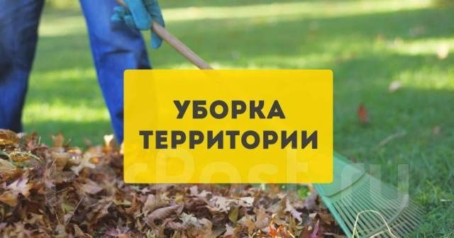 Уборка теретории чистка подвалов уборка дачь вывоз веток деревьев