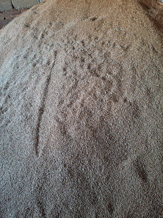 Grâu de vanzare 19 ron banicioru