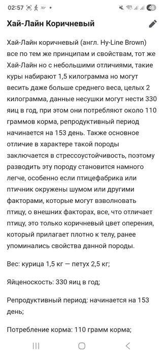 Хаммаси 100 % товук чикади. Цыплята Курочки несушки.  Jojalar