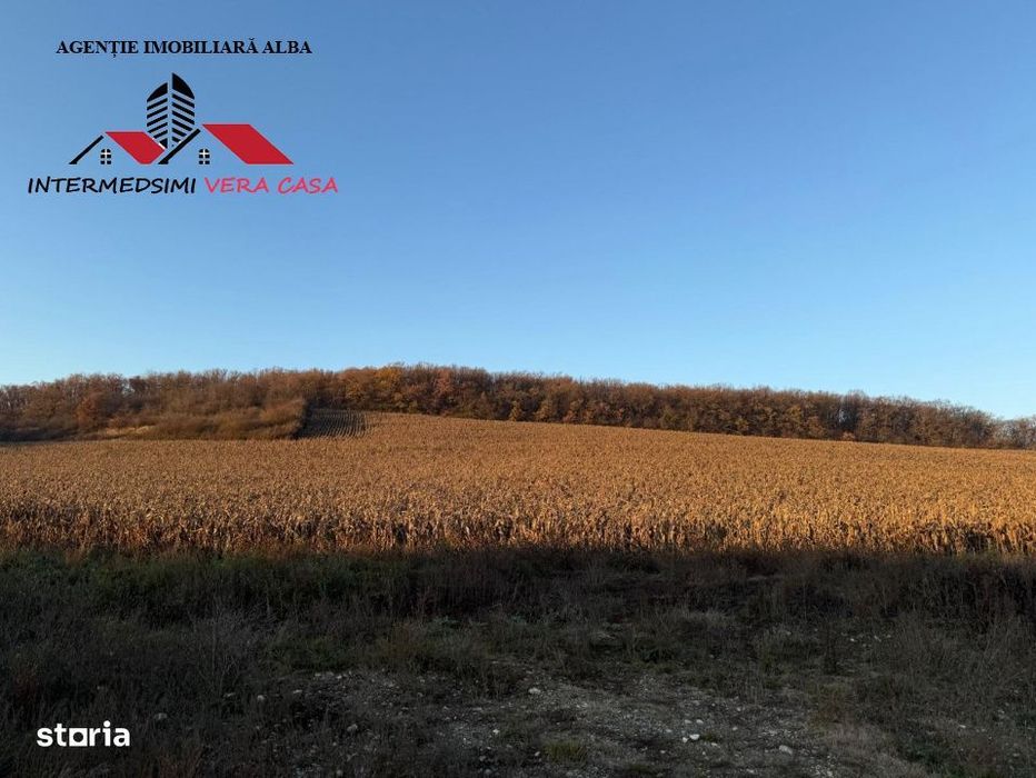 Teren extravilan de vanzare Vingard Jud Alba