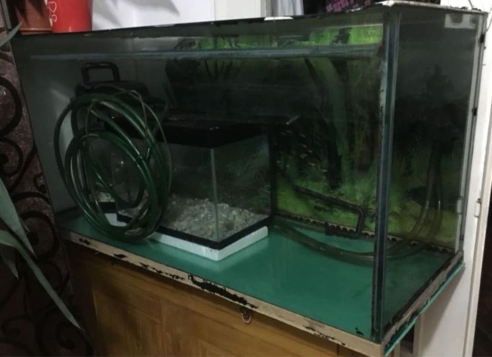 Acvarii diferite dimensiuni de la 10 litri la 250 de litri