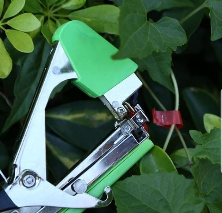 Aparat pentru legat vita de vie pomi fructiferi si legume/capse role