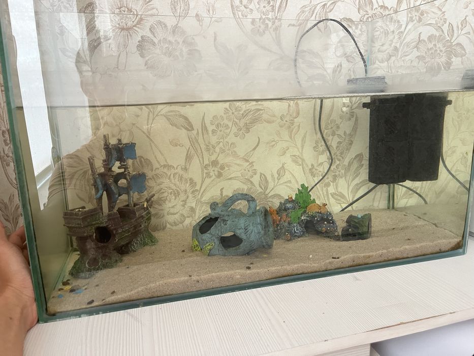 Аквариум с рыбками