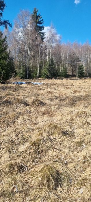 De vânzare teren  in Râșca