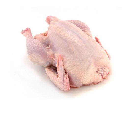 Домашние куры бройлер