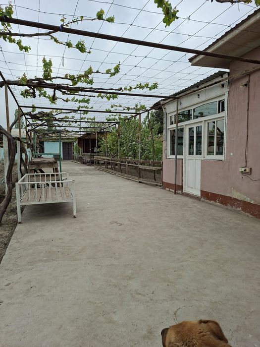 Ёрмазорда 3 та 9 сотихлик участка. Катедж куриб сотувчилар учун аъло и