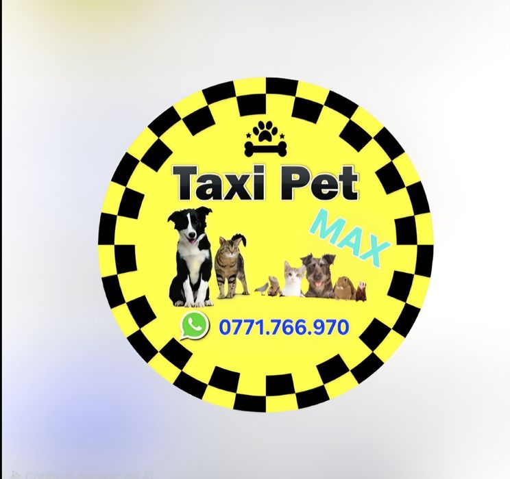 TRANSPORT- Animale de companie