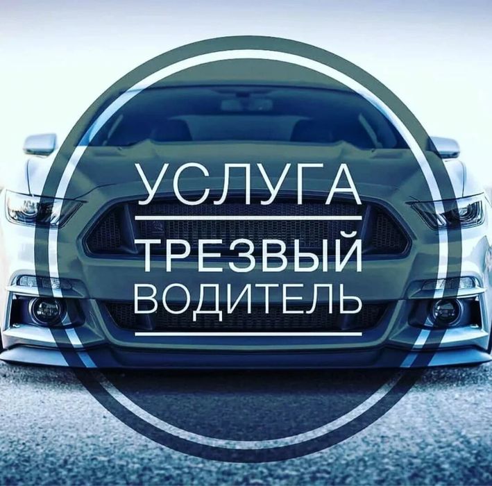 Трезвый волитель